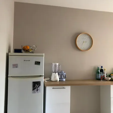 Apartment Dans Quartier Calme Avec Petit Jardin
