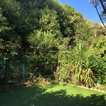 Apartament Dans Quartier Calme Avec Petit Jardin Montpellier